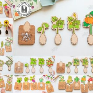 Rompecabezas Educativo del Ciclo de Vida de las Plantas para Corte Láser