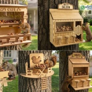 Comederos Decorativos para Ardillas Pack de 5 Diseños