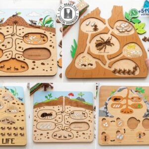 Pack educativo del ciclo de vida de las colonia de hormigas con cámaras y piezas didácticas