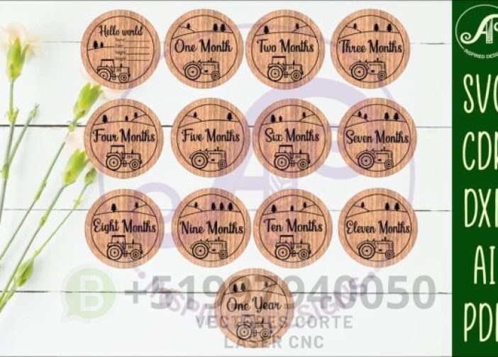 Discos de hitos mensuales para bebés