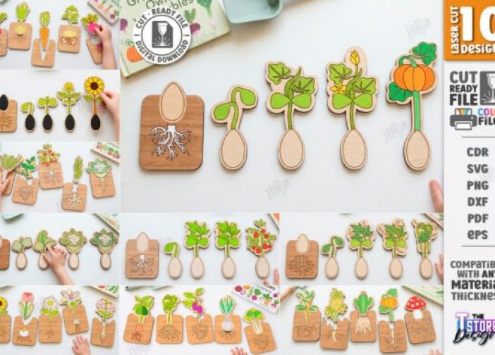 Juego de rompecabezas ciclo de vida de las plantas