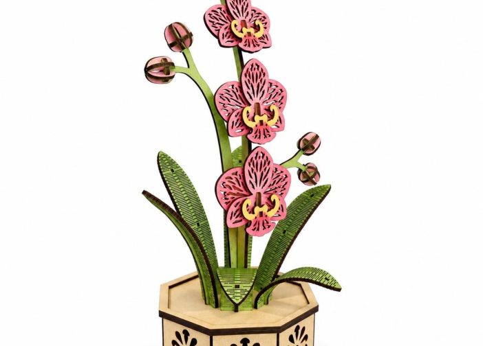 Maceta de orquídeas Para mas Vectores Whatsapp 51969764199
