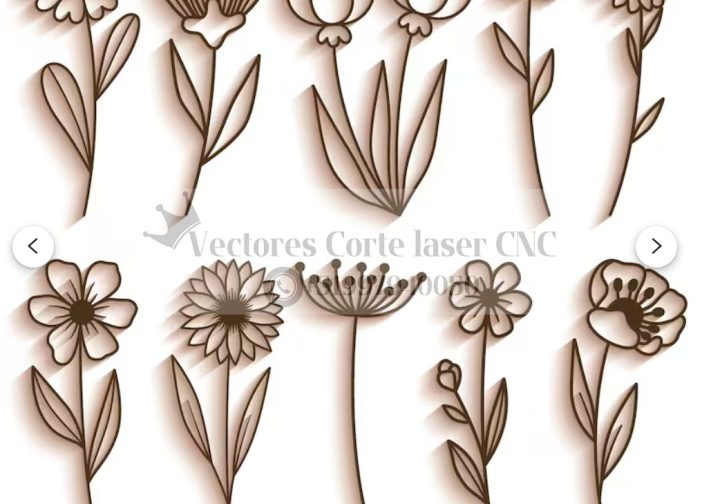 Paquete de 50 flores silvestres