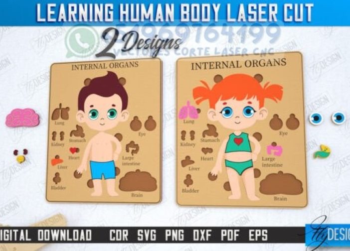 Paquete de aprendizaje del cuerpo humano