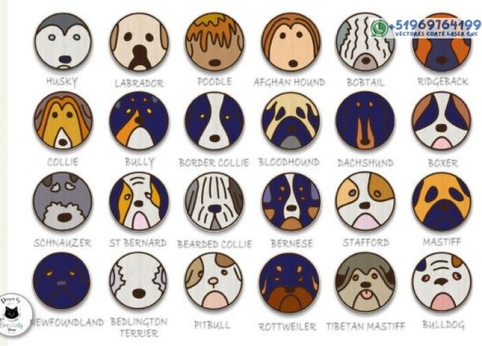 Paquete de aretes de perro cortados con láser