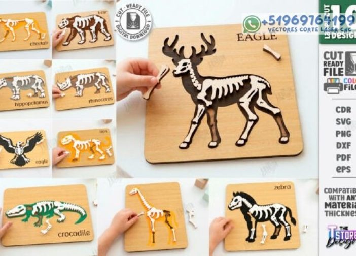 Paquete de esqueletos de animales Para mas Vectores Whatsapp 51969764199