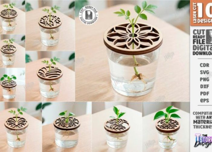 Paquete de tapas para propagación de plantas