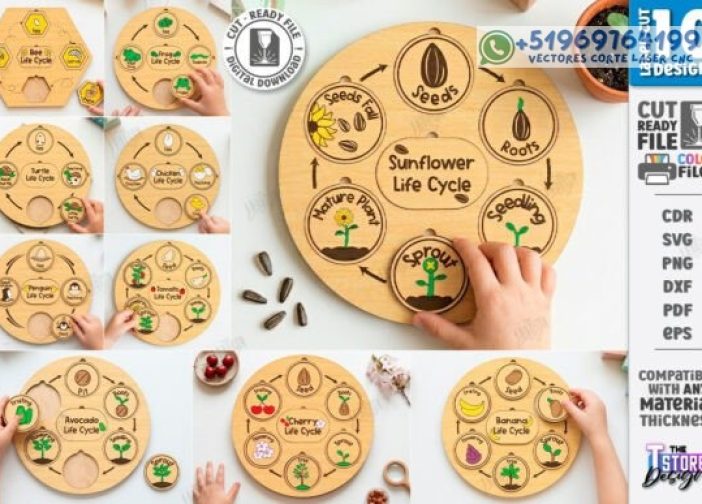 Paquete juego de rompecabezas del ciclo de vida Para mas Vectores Whatsapp 51969764199