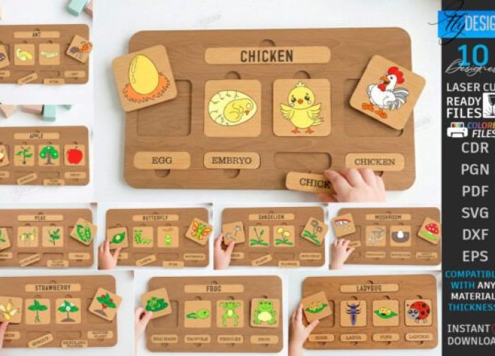 Rompecabezas del ciclo de vida