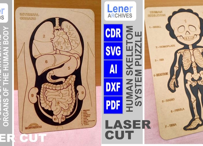 Rompecabezas del cuerpo humano1