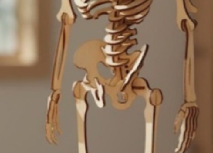 cuerpo humano